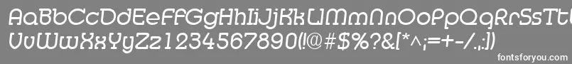 フォントMedflyRegular – 灰色の背景に白い文字