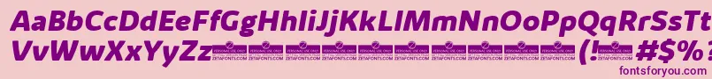 KabrioAlternateExtraboldItalicTrial Font – Purple Fonts on Pink Background