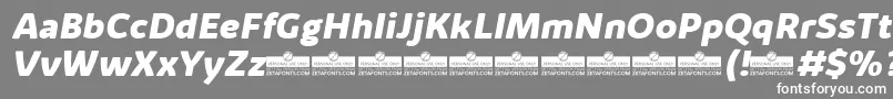 KabrioAlternateExtraboldItalicTrial-Schriftart – Weiße Schriften auf grauem Hintergrund