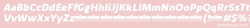 KabrioAlternateExtraboldItalicTrial Font – White Fonts on Pink Background