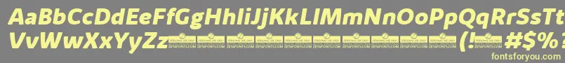 KabrioAlternateExtraboldItalicTrial Font – Yellow Fonts on Gray Background