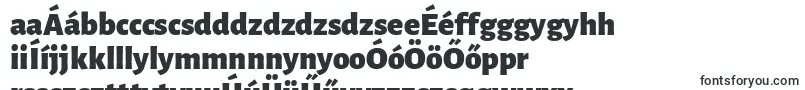 Шрифт LunasansBlack – венгерские шрифты