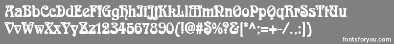 AidanThinBold Font – White Fonts on Gray Background