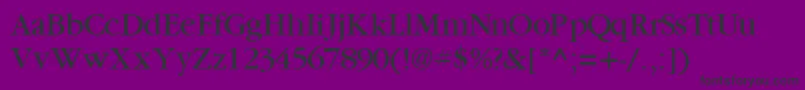 GaramondbooksskRegular Font – Black Fonts on Purple Background