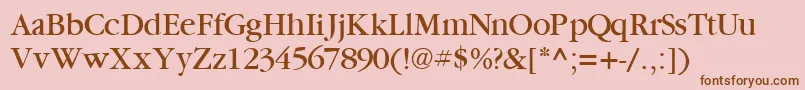 GaramondbooksskRegular Font – Brown Fonts on Pink Background