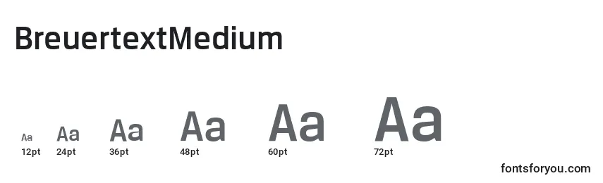 Размеры шрифта BreuertextMedium