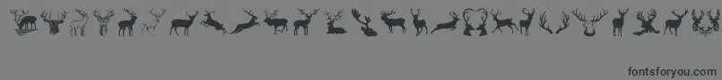 Deers-Schriftart – Schwarze Schriften auf grauem Hintergrund