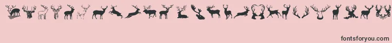 Deers-Schriftart – Schwarze Schriften auf rosa Hintergrund