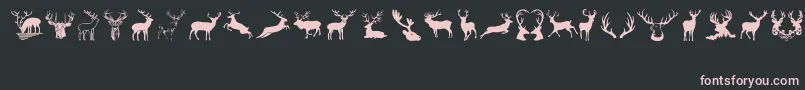 Deers Font – Pink Fonts on Black Background