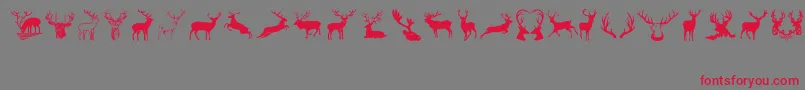 Deers-Schriftart – Rote Schriften auf grauem Hintergrund