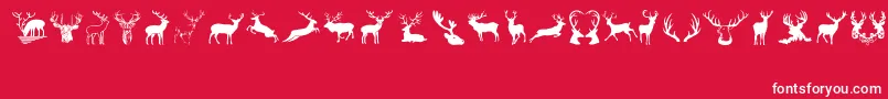 Deers Font – White Fonts on Red Background