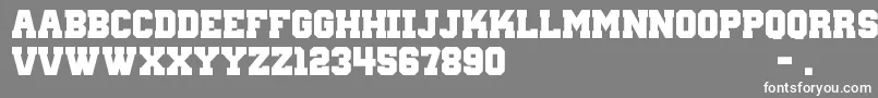 フォントWantedM54 – 灰色の背景に白い文字