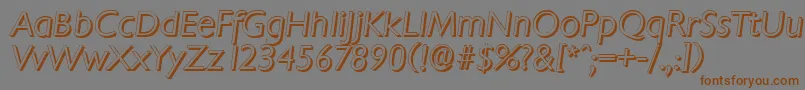 ChantillyshadowLightItalic Font – Brown Fonts on Gray Background