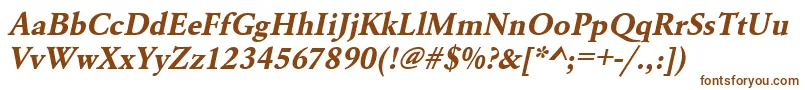 UrwgaramondtBoldOblique Font – Brown Fonts on White Background