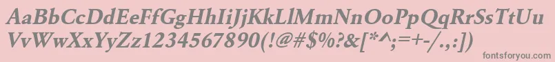 UrwgaramondtBoldOblique Font – Gray Fonts on Pink Background