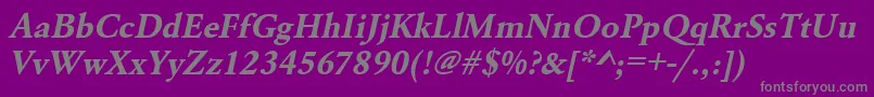 UrwgaramondtBoldOblique Font – Gray Fonts on Purple Background