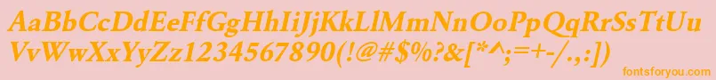 UrwgaramondtBoldOblique Font – Orange Fonts on Pink Background