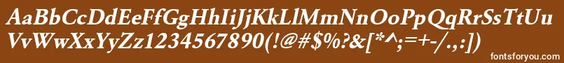 UrwgaramondtBoldOblique Font – White Fonts on Brown Background