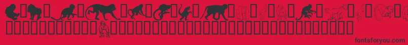 fuente MonkeysdcPrimates – Fuentes Negras Sobre Fondo Rojo