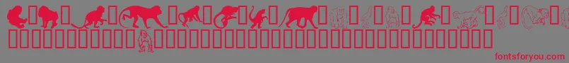 MonkeysdcPrimates Font – Red Fonts on Gray Background