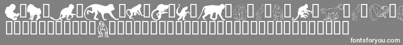 MonkeysdcPrimates Font – White Fonts on Gray Background