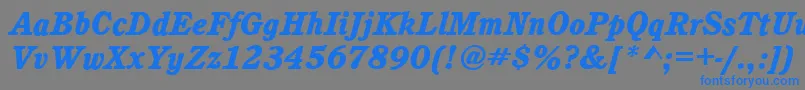 フォントCalgaryHeavyItalic – 灰色の背景に青い文字