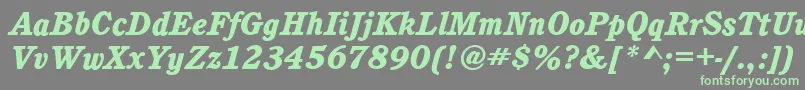 CalgaryHeavyItalic Font – Green Fonts on Gray Background