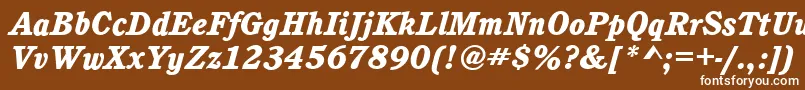 CalgaryHeavyItalic Font – White Fonts on Brown Background