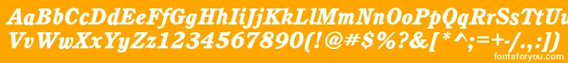 CalgaryHeavyItalic Font – White Fonts on Orange Background