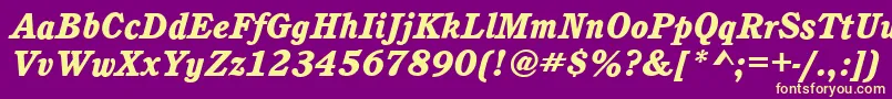 CalgaryHeavyItalic Font – Yellow Fonts on Purple Background