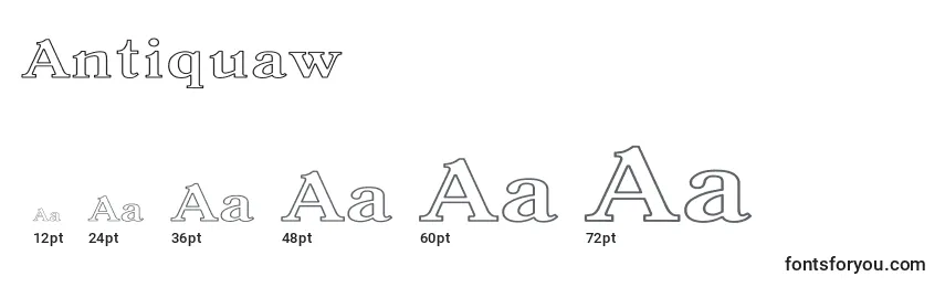 Antiquaw Font Sizes