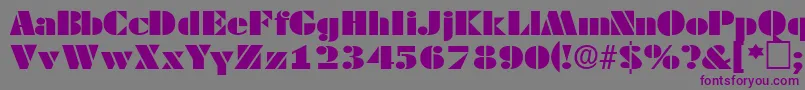 TessasskRegular Font – Purple Fonts on Gray Background