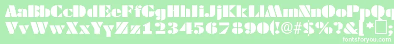 TessasskRegular Font – White Fonts on Green Background