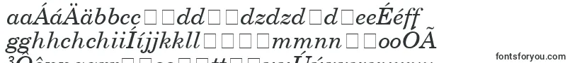 NewbrunswickItalic-fontti – slovakian fontit