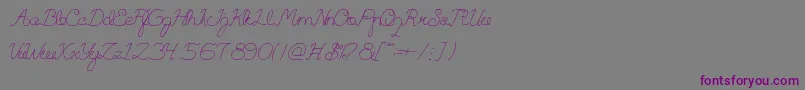 QuestionOfScience-Schriftart – Violette Schriften auf grauem Hintergrund