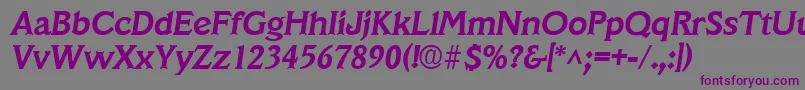 VeracruzBoldItalic Font – Purple Fonts on Gray Background