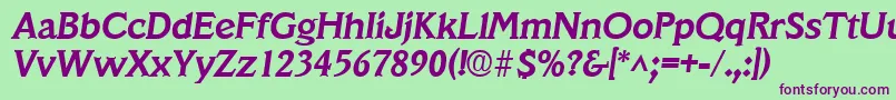 VeracruzBoldItalic Font – Purple Fonts on Green Background