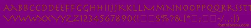 SpartaSsi Font – Brown Fonts on Purple Background