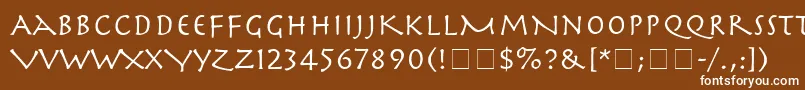 フォントSpartaSsi – 茶色の背景に白い文字