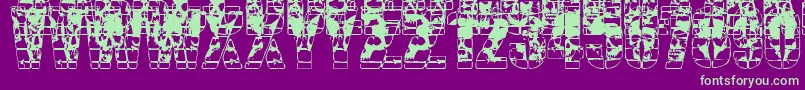CercaOfSkulls Font – Green Fonts on Purple Background