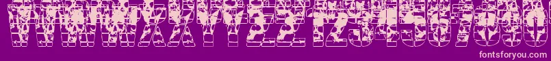 CercaOfSkulls-Schriftart – Rosa Schriften auf violettem Hintergrund