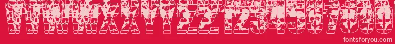 CercaOfSkulls Font – Pink Fonts on Red Background