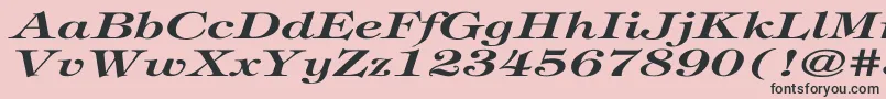 TiffanyBolditalicEx Font – Black Fonts on Pink Background