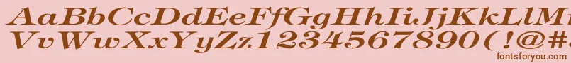 TiffanyBolditalicEx Font – Brown Fonts on Pink Background