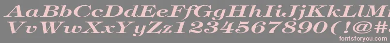 TiffanyBolditalicEx Font – Pink Fonts on Gray Background