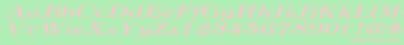 TiffanyBolditalicEx Font – Pink Fonts on Green Background