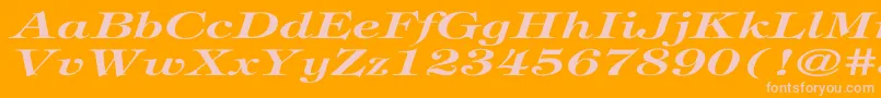 TiffanyBolditalicEx Font – Pink Fonts on Orange Background