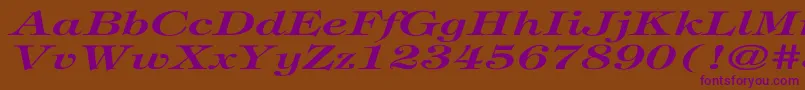 TiffanyBolditalicEx Font – Purple Fonts on Brown Background