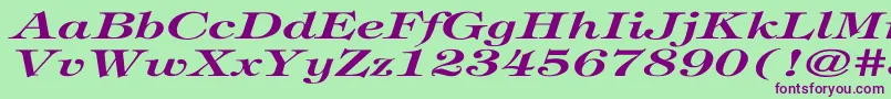 TiffanyBolditalicEx Font – Purple Fonts on Green Background