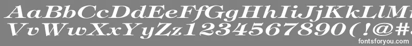 フォントTiffanyBolditalicEx – 灰色の背景に白い文字